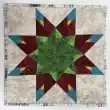 Arizona Star by Paul Bateson