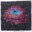 Ode to Philip&rsquo;s Blommie by John J. Cole-Morgan